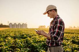 agricultor com celular